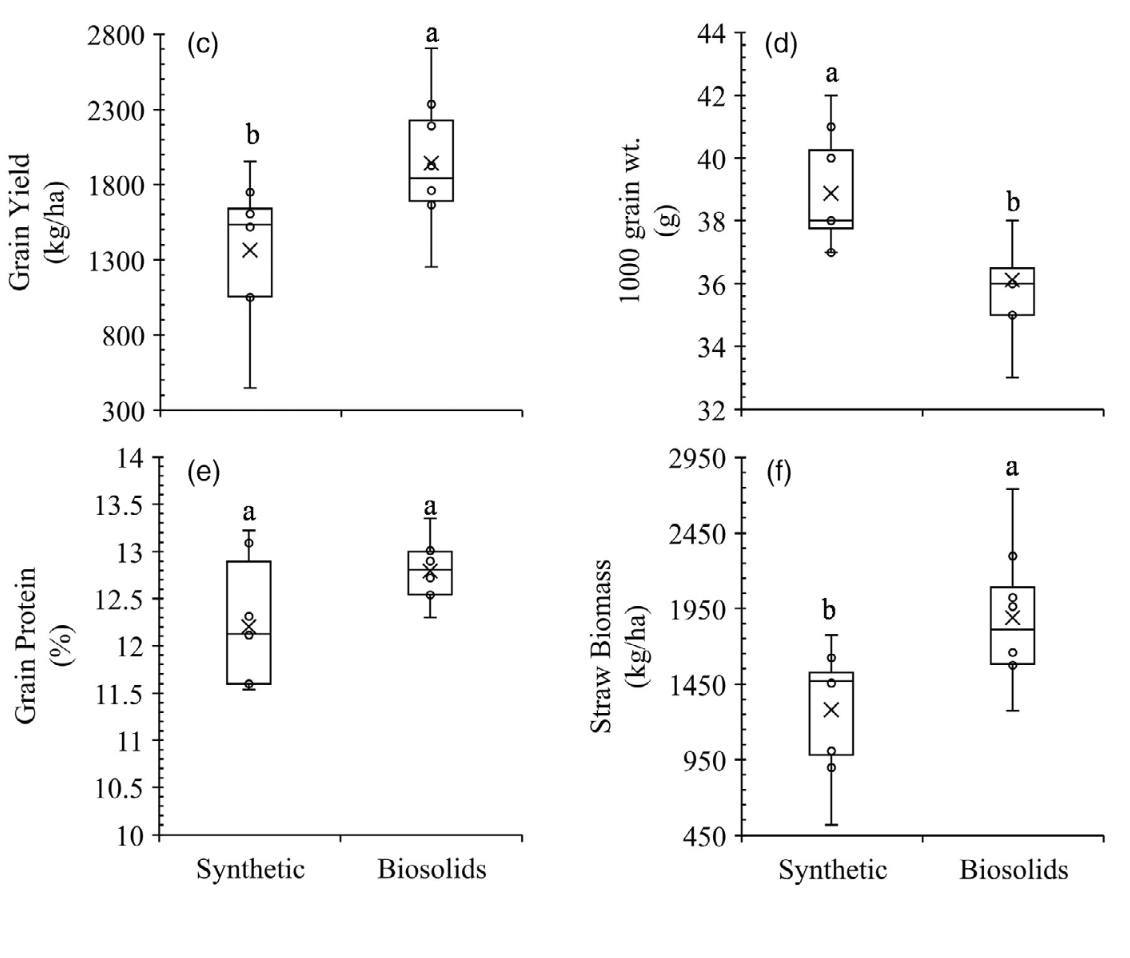 Graph showing responses of grain yield components to synthetic fertilizer versus biosolids